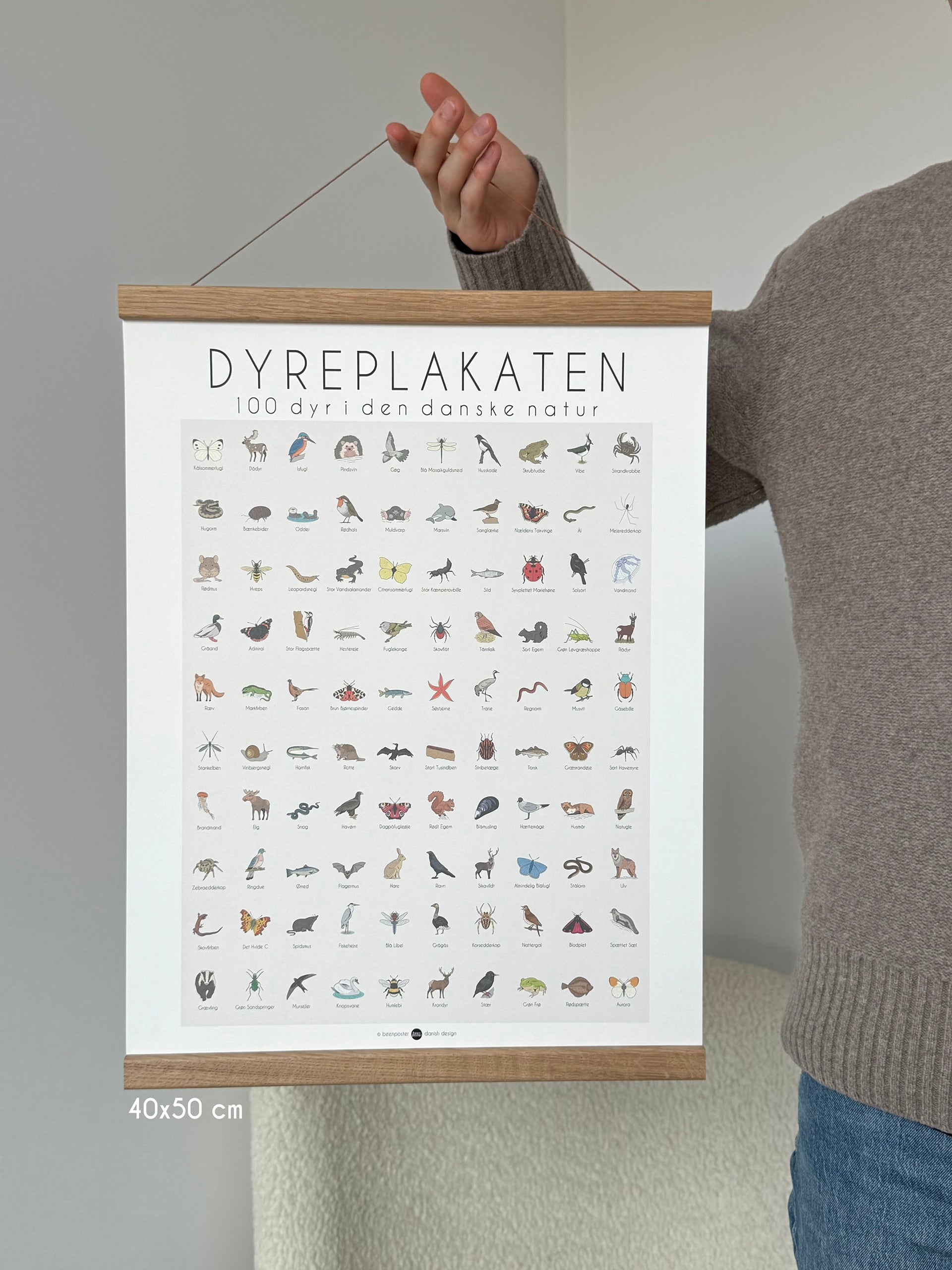 Dyreplakaten